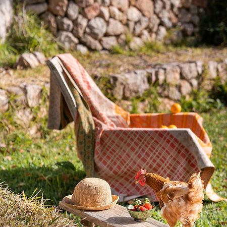 Agroturismo Son Viscos Valldemossa  Eksteriør bilde