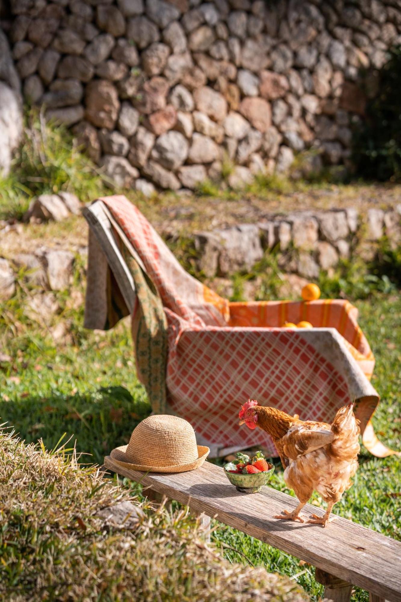 Agroturismo Son Viscos Valldemossa  Eksteriør bilde